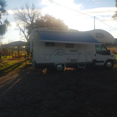 מלון ביביונה Mimoza Camper מראה חיצוני תמונה